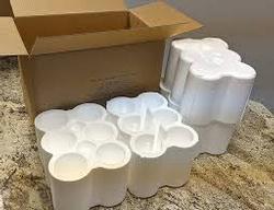 Styrofoam Shipper Box w/ icepacks